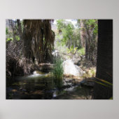 IndianCanyon (2) ポスター (正面)