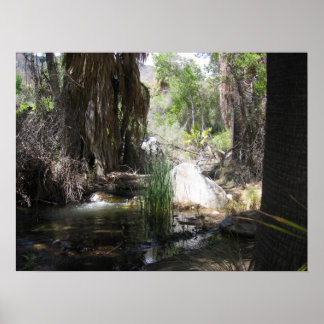 IndianCanyon (2) ポスター