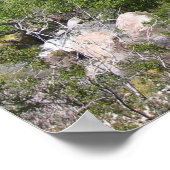 IndianCanyon (8) ポスター (角)