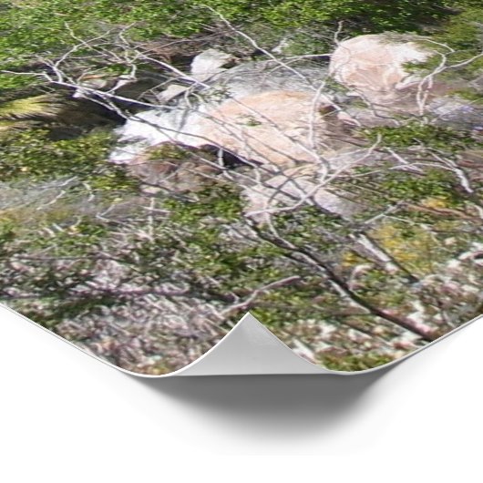 IndianCanyon (8) ポスター (角)