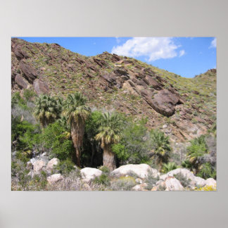 IndianCanyon (8) ポスター