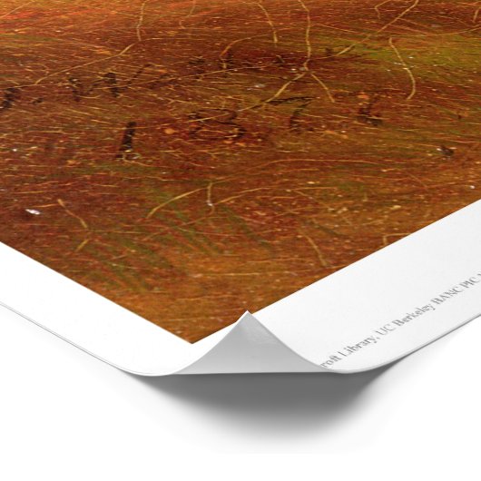 Indians Creeping up on a Herd of Buffalo (1907A) ポスター (角)