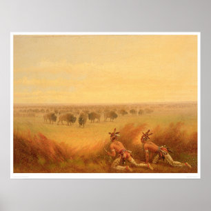 Indians Creeping up on a Herd of Buffalo (1907A) ポスター