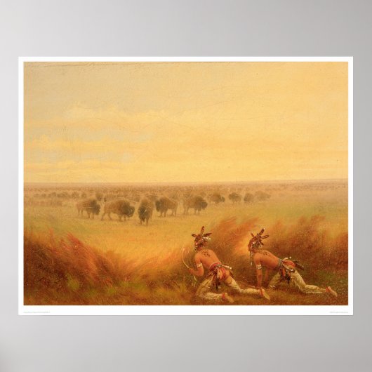 Indians Creeping up on a Herd of Buffalo (1907A) ポスター (正面)