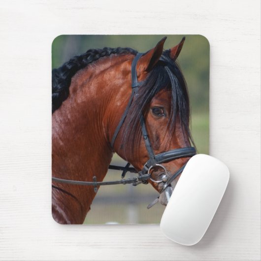 INDICO VII マウスパッド (マウス)