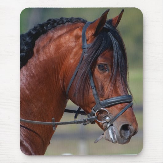 INDICO VII マウスパッド (正面)