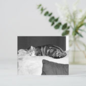 Indigoのための昼寝 ポストカード (スタンド正面)