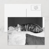 Indigoのための昼寝 ポストカード (正面/裏面)