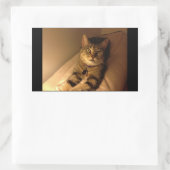 Indigoモデルポーズ 長方形シール (バッグ)