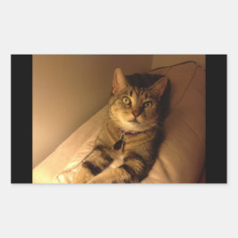 Indigoモデルポーズ 長方形シール