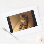 Indigoモデルポーズ 長方形シール (封筒)