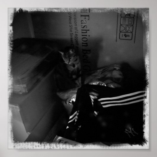 Indigo移動ヘルパー ポスター (正面)