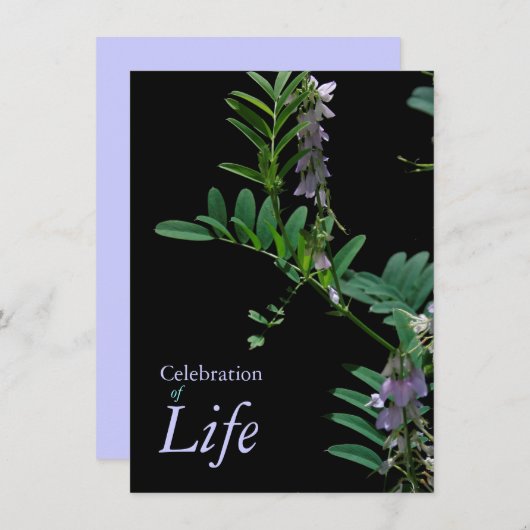 Indigo 2お祝いライフ葬儀のお知らせ 招待状 (正面/裏面)