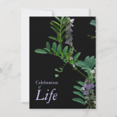 Indigo 2お祝いライフ葬儀のお知らせ 招待状 (正面)