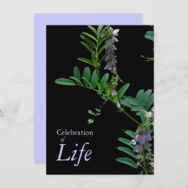 Indigo 2お祝いライフ葬儀のお知らせ 招待状