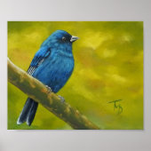 Indigo Bunting – ポスター (正面)