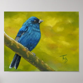 Indigo Bunting – ポスター