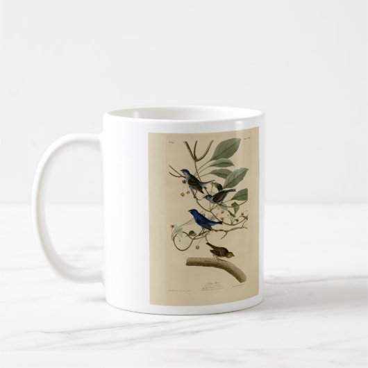 Indigo Bunting from Audubon's Birds of America コーヒーマグカップ (左)