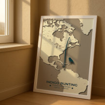 Indigo Bunting Migration Map – Minimalist Vintage 