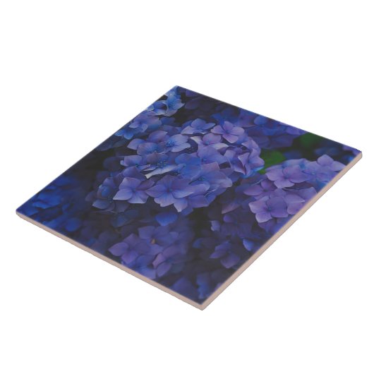 Indigo Hydrangea Dusk Decorative Ceramic Tile タイル (側面)