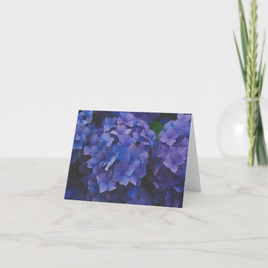 Indigo Hydrangea Dusk Note Card サンキューカード (正面)