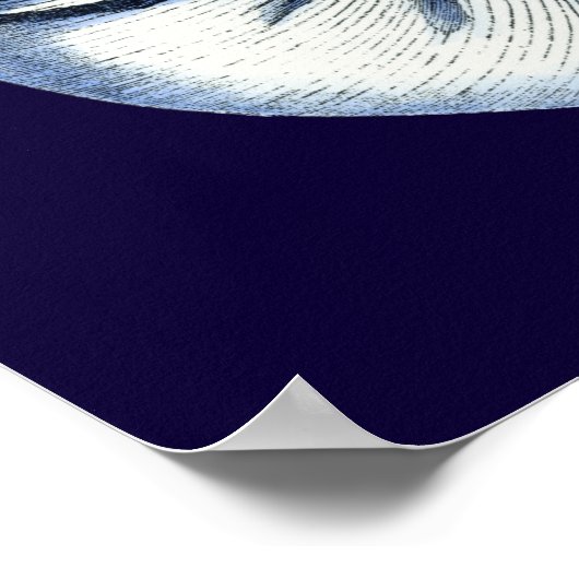 Indigo Shells VII ポスター (角)