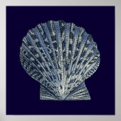 Indigo Shells VIII ポスター (正面)