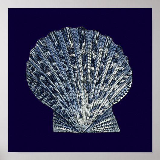 Indigo Shells VIII ポスター (正面)