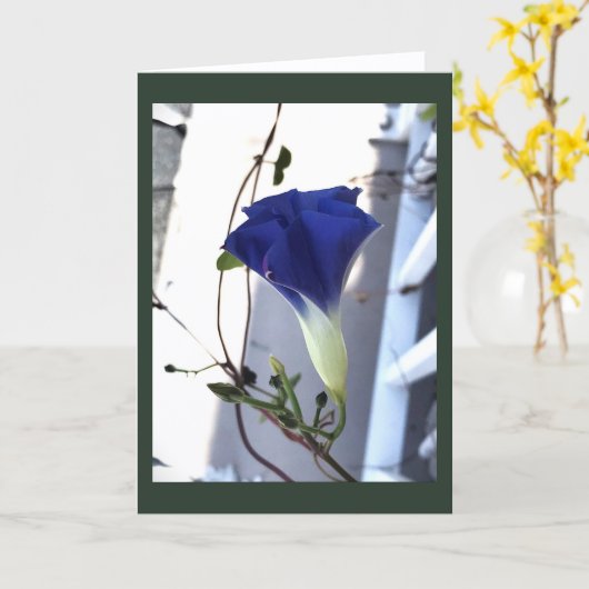 Indigo Swirl Morning Glory Blank カード (黄色い花)