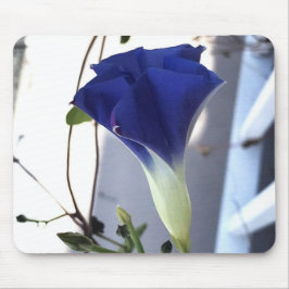 Indigo Swirl Morning Glory Close-up マウスパッド