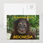 INDONESIA写真より ポストカード (正面/裏面)