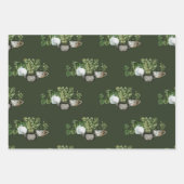 Indoor Plants Wrapping Paper ラッピングペーパーシート (正面3)