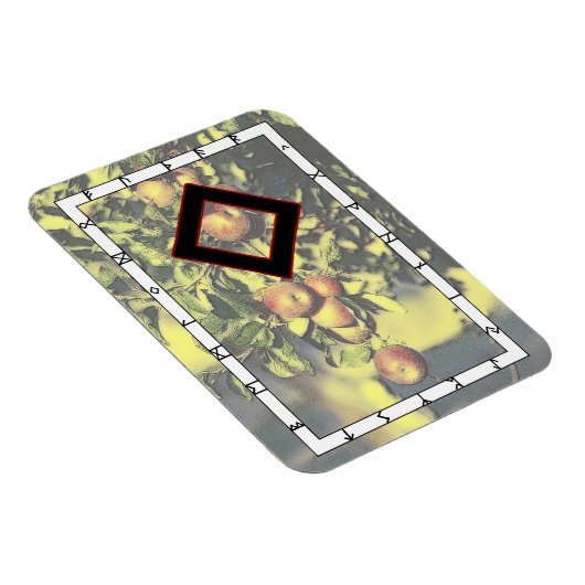 Ingwaz Rune Magnet - Hero! マグネット (右側)