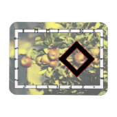 Ingwaz Rune Magnet - Hero! マグネット (横)