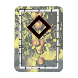 Ingwaz Rune Magnet - Hero! マグネット