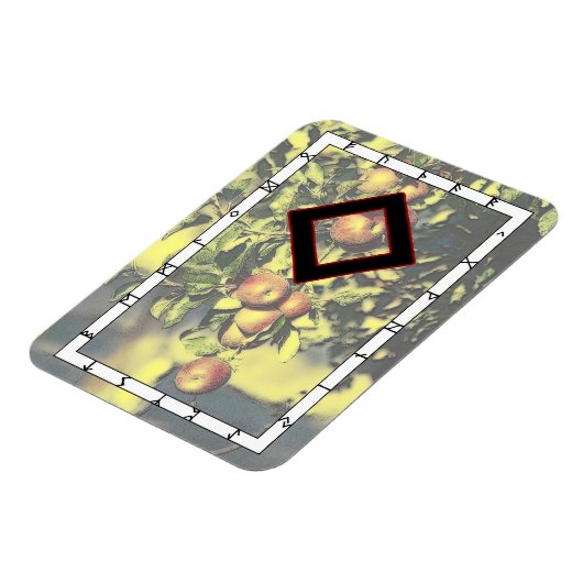 Ingwaz Rune Magnet - Hero! マグネット (左側)