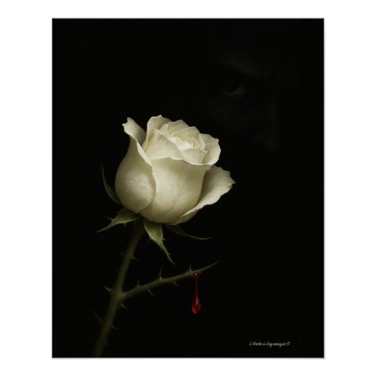 Innocence écorchée - Steampunk - Poster brillant ポスター (正面)
