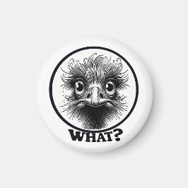 "Innocent Ostrich" What Magnet マグネット