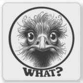 "Innocent Ostrich What" Vinyl シール (正面)