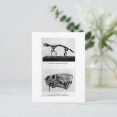 Inostrancevia alexandriアートポストカード ポストカード (スタンド正面)