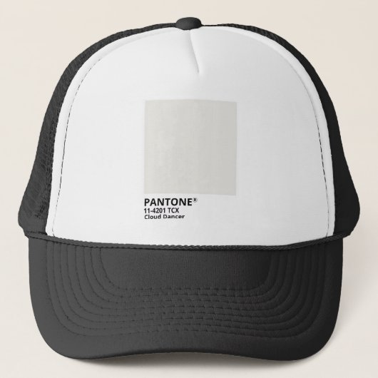 Inpiration pantone 2026 キャップ (正面)