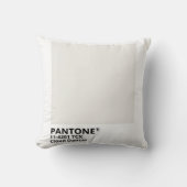 Inpiration pantone 2026 クッション (正面)