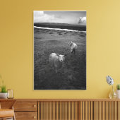 Inquisistic Dartmoor Sheep – それはEweか？ キャンバスプリント (インサイチュ (リビング))