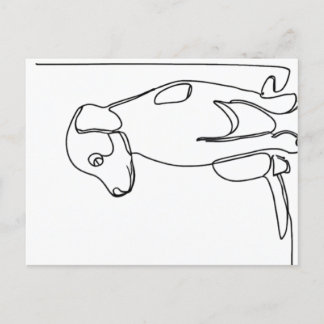 Inquisitive Dog ポストカード