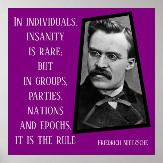 Insanity is the Rule Nietzche ポスター (正面)