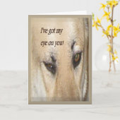 Insecret Palから カード (黄色い花)