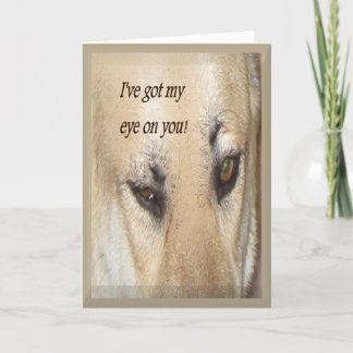 Insecret Palから カード