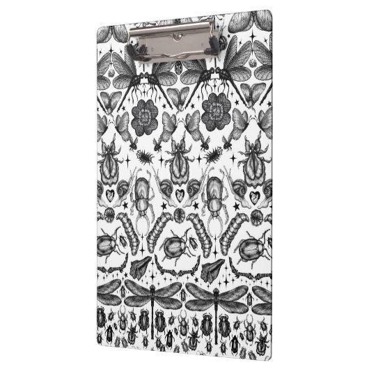 Insects and Bugs クリップボード (左)