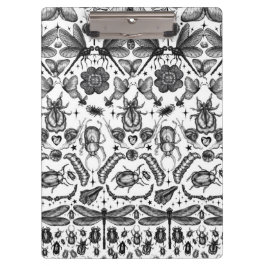 Insects and Bugs クリップボード