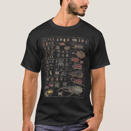 Insects Collection Species Bugs Vintage Chart Ento Tシャツ (正面)